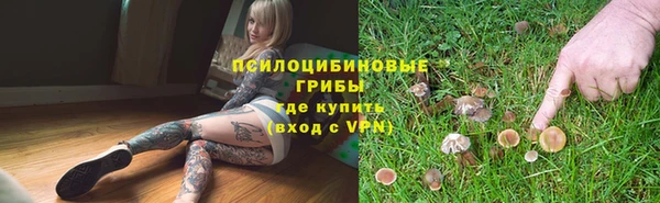 apvp Алзамай